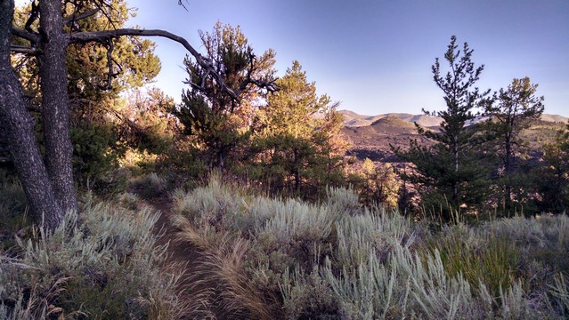 IMG_20150731_072551155_HDR